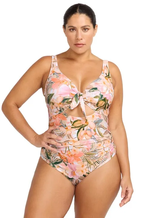 Artesands Cezanne D/DD Underwire One Piece - Ti Tania