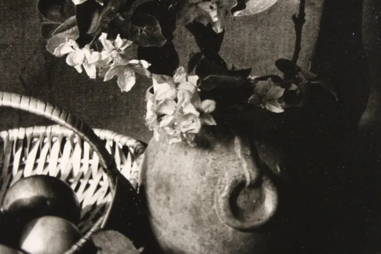 Bo Kass Photography Still Life with Fruit Bowl and Plants