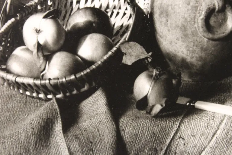 Bo Kass Photography Still Life with Fruit Bowl and Plants