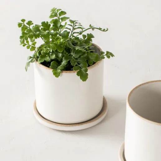 minimal planter