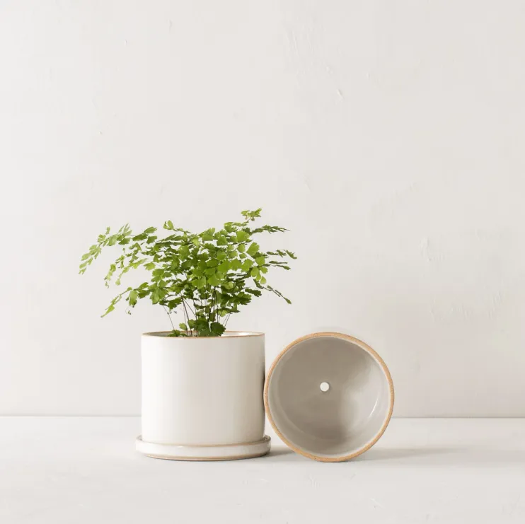 minimal planter