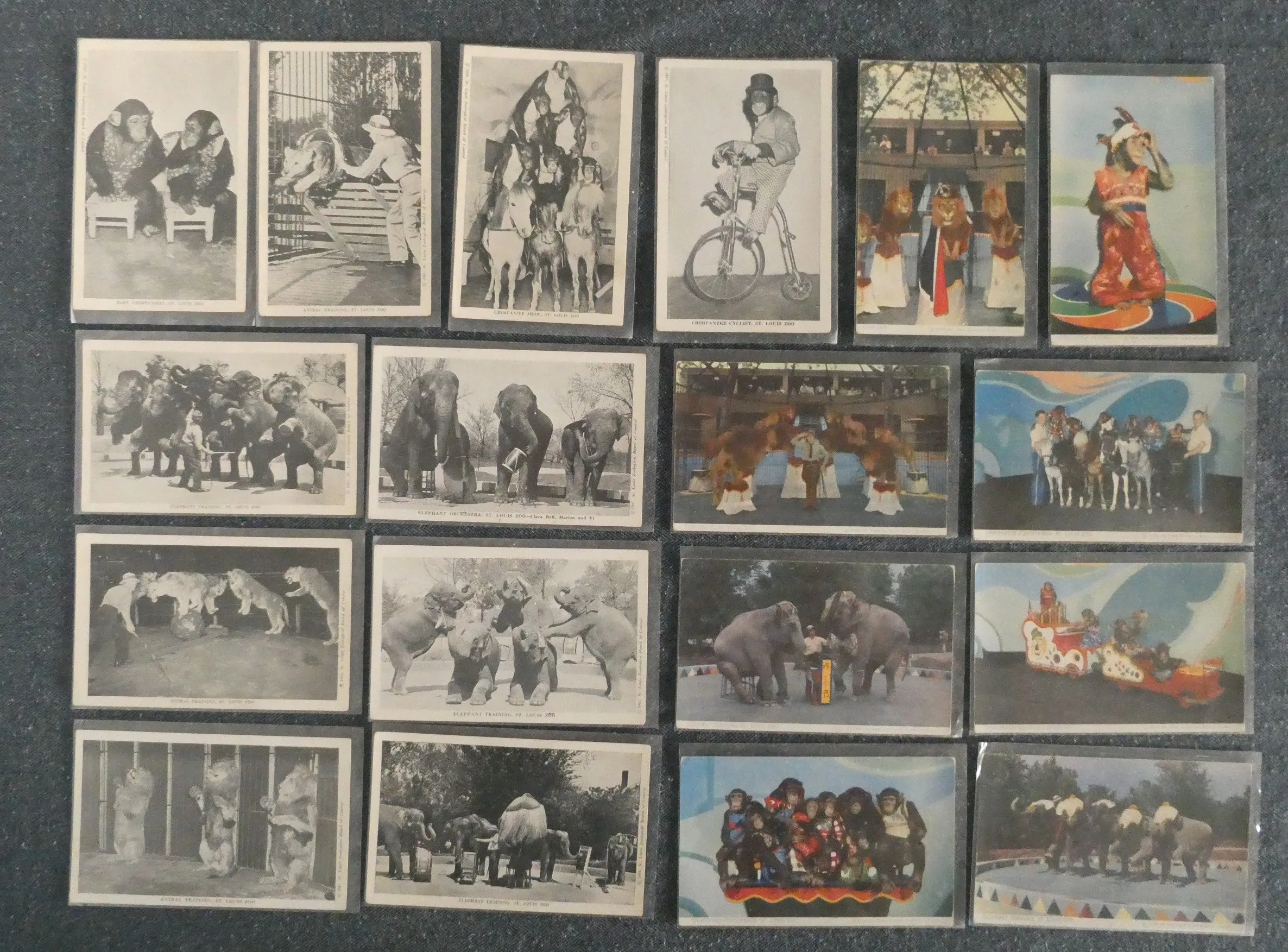 St. Louis Zoo Postcards, c. 1946-1950 - Lot of 18