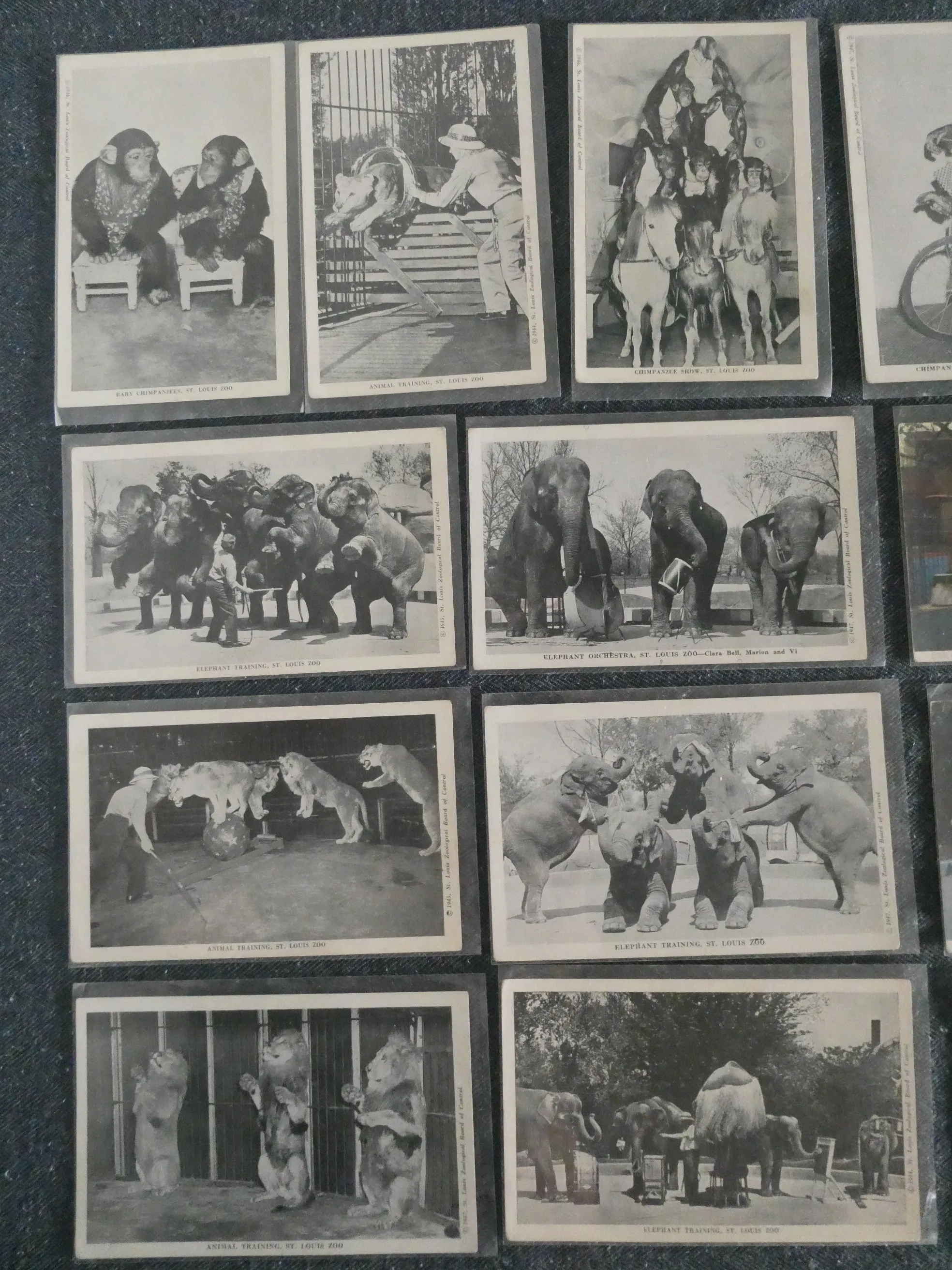 St. Louis Zoo Postcards, c. 1946-1950 - Lot of 18